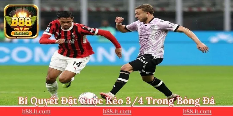 bi-quyet-dat-cuoc-keo-3/4-danh-cho-nguoi-moi