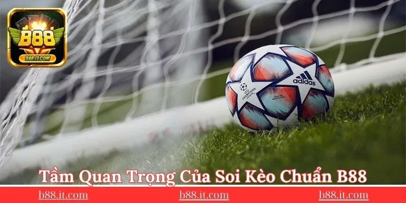 tam-quan-trong-cua-soi-keo-chuan-cua-chuyen-gia